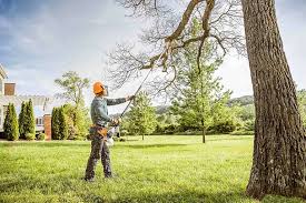 Best Commercial Tree Services  in Colville, WA